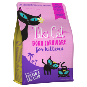 Tiki pets cat born Carnivore_KITTEN