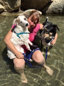 Leslie Bussinger with her dog Roo (the darker Shepard mix, 1.5 years) and her grandpuppy, Accaliah (the white Aussie mix, 7 months).