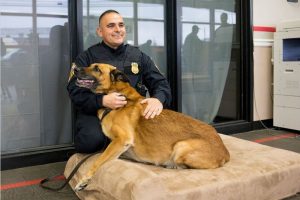 dog-beds-donation-extra