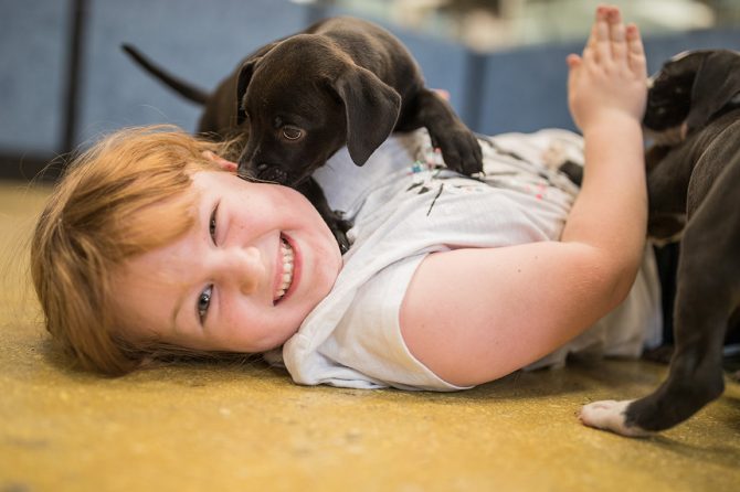 Over 24 000 Pets Adopted Out During PetSmart Charities February 