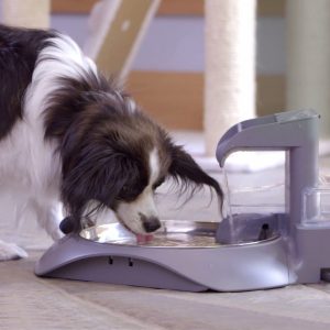 Our Pets SmartLink Waterer - Intelligent Water Fountain Dog