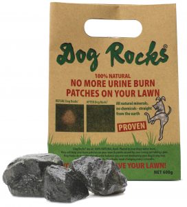 Dog Rocks2