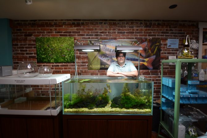 Aquarium Zen An Aquascaping Specialist Pet Age