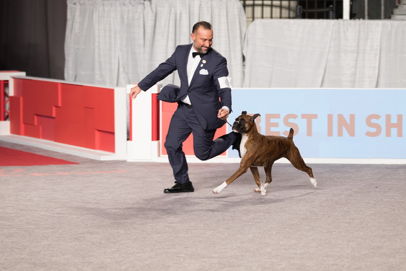 AKC National Championship presented by Royal Canin – American