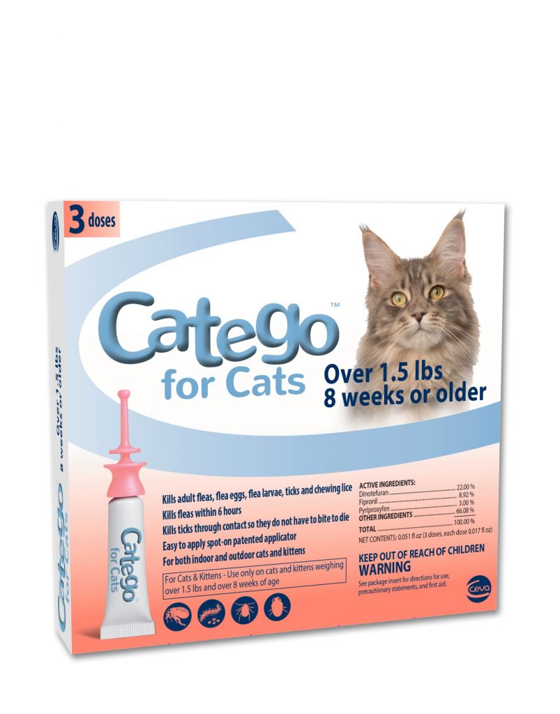 Keeping Kitty Free of Fleas with Catego for Cats Pet Age