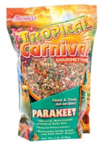 tropical carnival