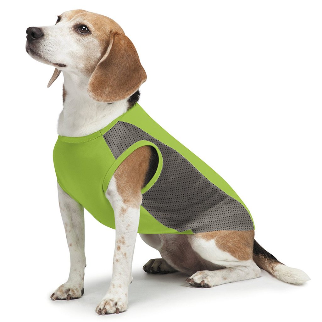 Insect Shield Reclaims Product Line Rights | Pet Age