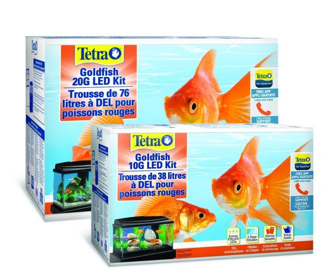 Tetra Optimizes Goldfish Care and Health
