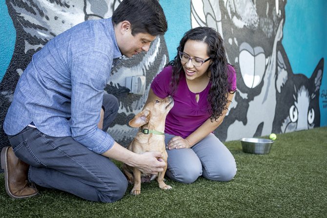 Michelson Found Animals Foundation's Saving Pets Challenge Raises $ for  At-Risk Shelter Animals | Pet Age