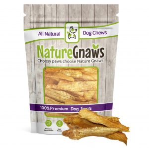 nature gnaws jerky strips 1