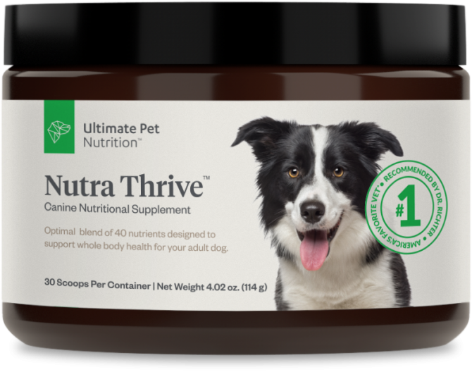 ultimate pet nutrition nutra thrive for cats