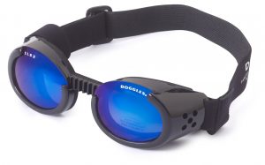 Doggles ILS2-Black-with-Blue-Lens