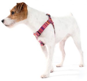 Gold-Paw-Series_Walking-Collection-Harness