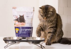 CleanProteinCat.pawup