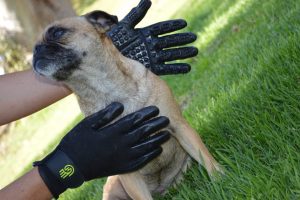 HandsOn Gloves