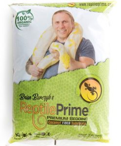 Reptile Prime-Reptile-T&P-219
