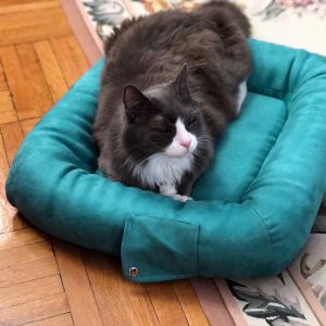 Pet Acoustics Calming-Cat-Bed