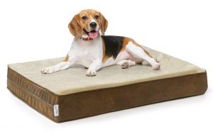 eluxury dog bed