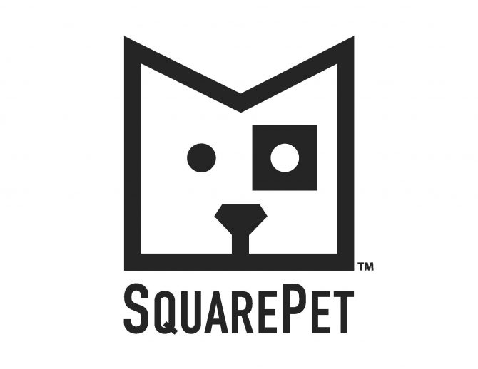 Squarepet Launches Innovative Pet Food Pet Age