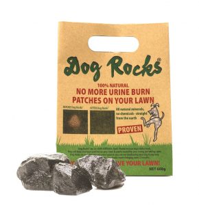 dog rocks