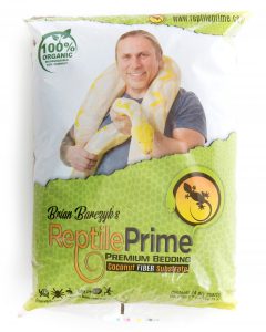 reptile prime