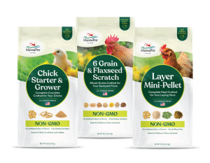 Manna Pro Non-GMO Poultry Feed - 3 packs