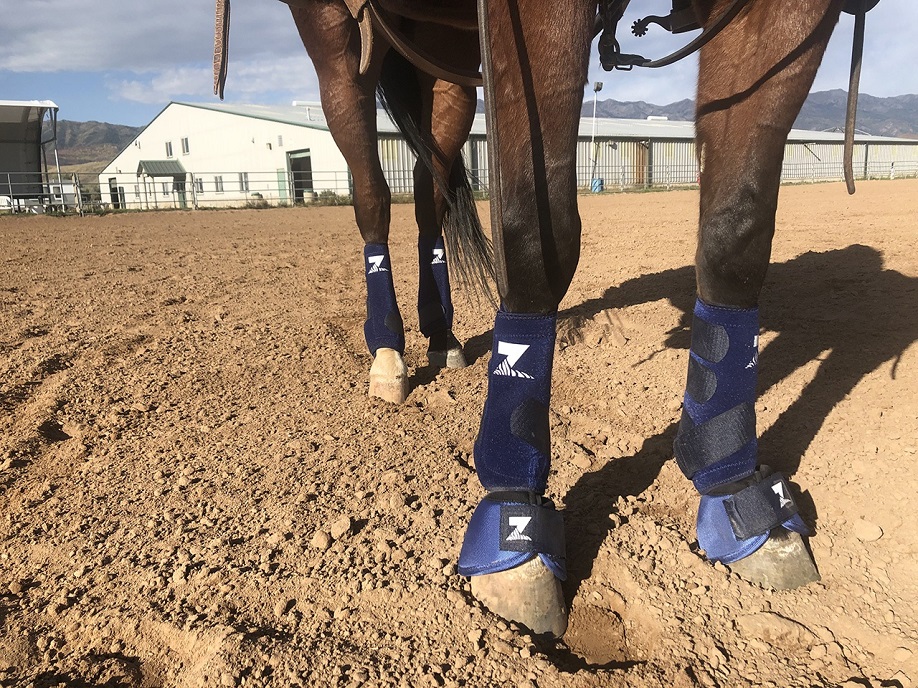 Zebra Equine Technologies Invents Innovative Sports Medicine Horse Boot |  Pet Age