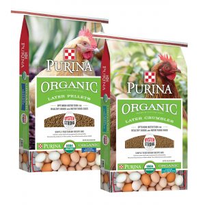 purina oyster strong system