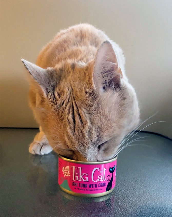 Tiki Pets’ Food Donations Support Shelters, Keep Pets in Foster Homes