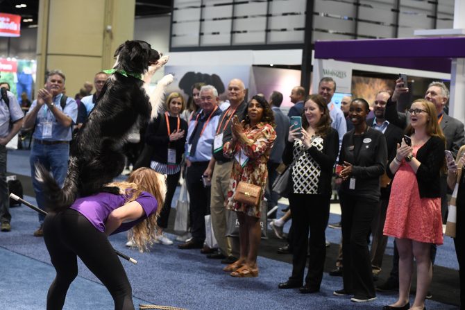 Changes Planned For 2021 Global Pet Expo Pet Age