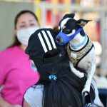 Pet Pantry and Wellness Pup-Up hosted by Michelson Found Animals Foundation, Assemblymember Miguel Santiago, and YMCA of Metropolitan Los Angeles' Weingart East Los Angeles location