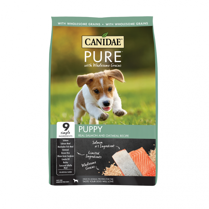 Free Canidae Dog Food cheers2savings