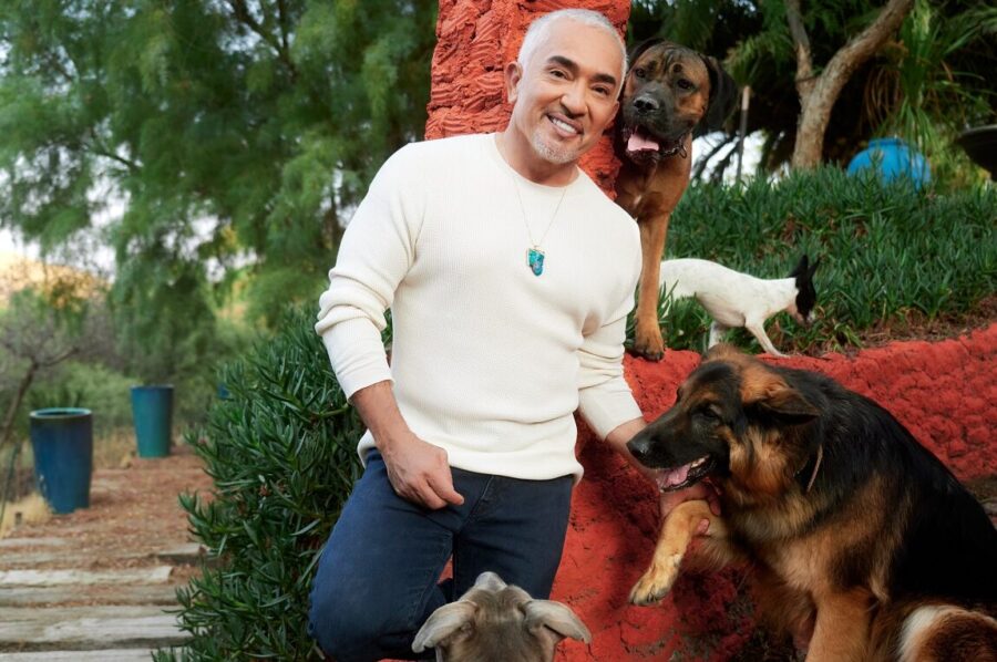 Is Cesar Millan a Good Dog Trainer: Expert Insights Revealed