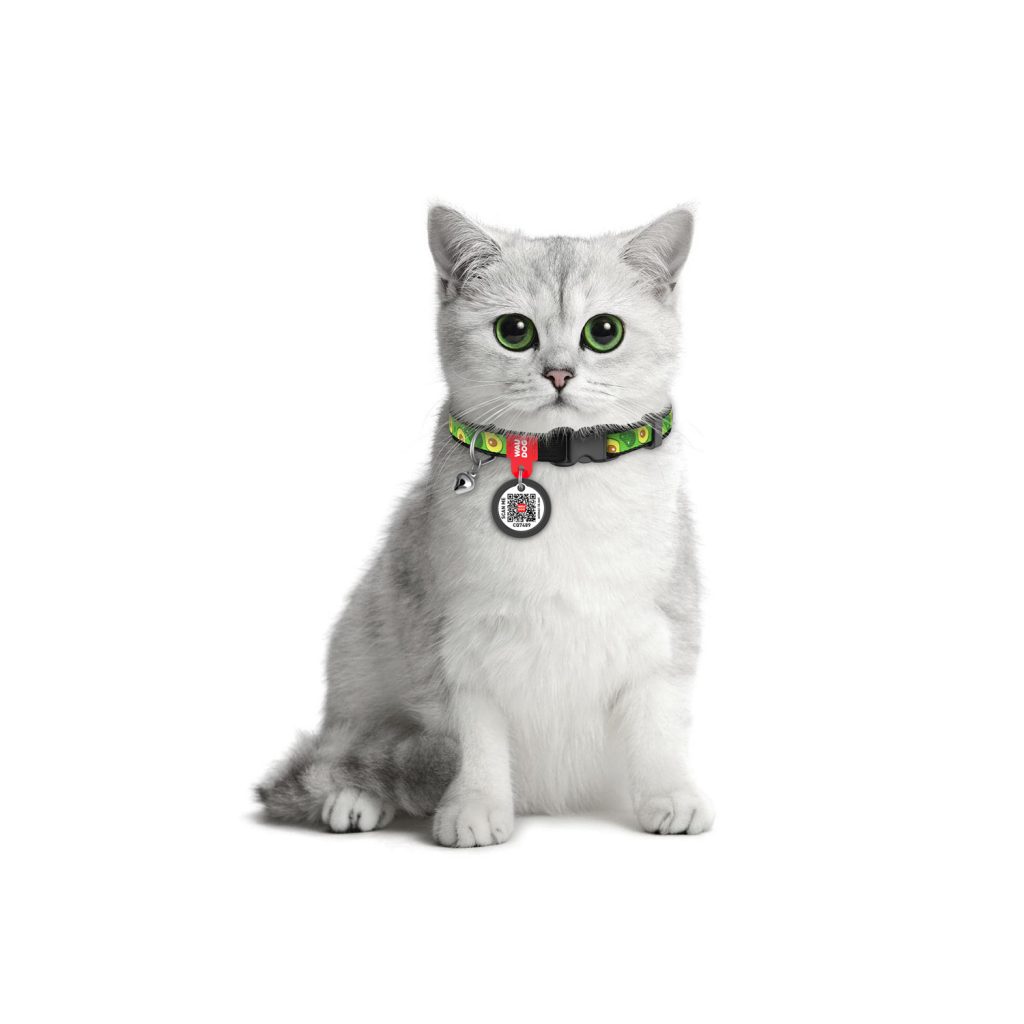 waaag Pet Collar Teal, XS 9-15 Neck 30 Colors Classic Solid Color Dog Collar Cat Collar Nylon Webbing Golden Buckle Dog Collar Cat Collar