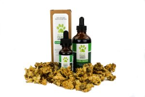 healthy paws herbals allergy itch relief
