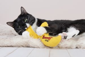Duckyworld Cat Catnip Toy Peeled Banana Daisy
