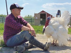 Peter Nussbaum Tamerlaine Factory Farm Animal Rescue Turkey