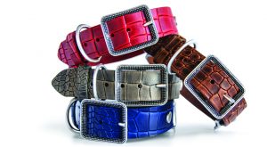 MyFamily Collars Stack