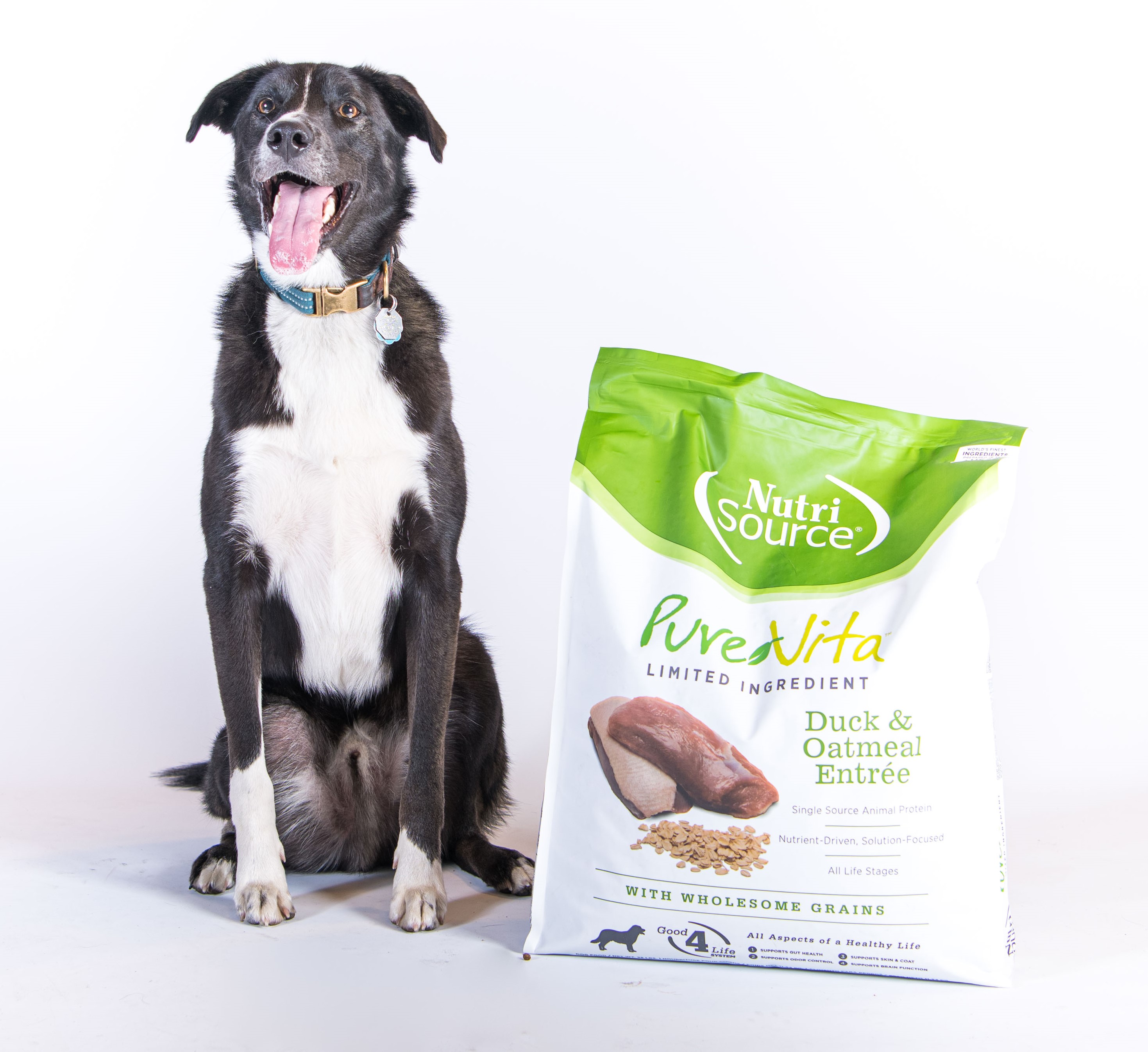 NutriSource PureVita Dog Food Pet Age