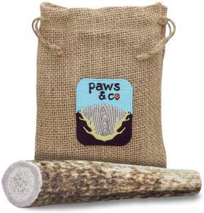 Paws and Co Antlers
