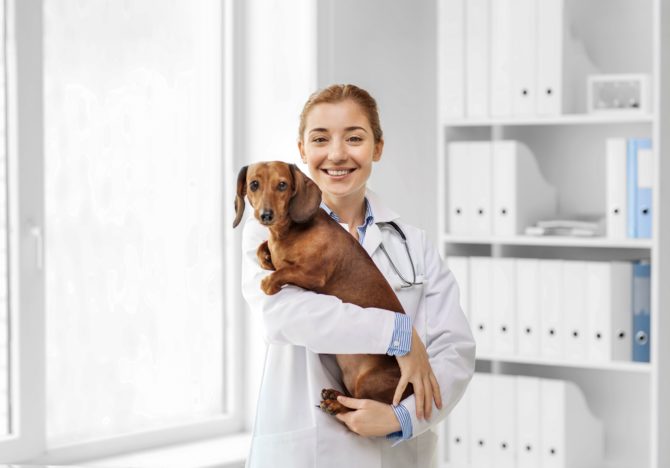 PVS Empowers Veterinarians to Open Practices in PetSmart Store Locations |  Pet Age