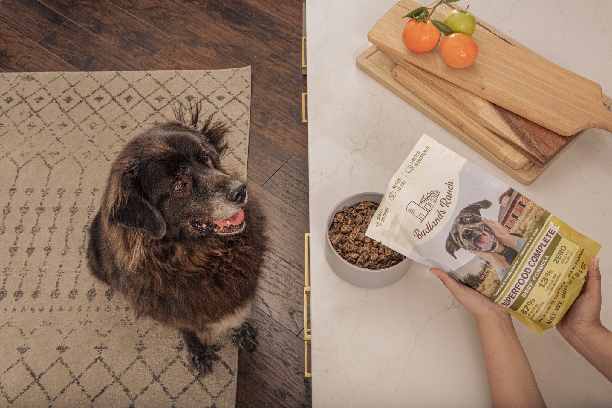 Katherine Heigl badlands ranch dog Food Kitchen Pet Age