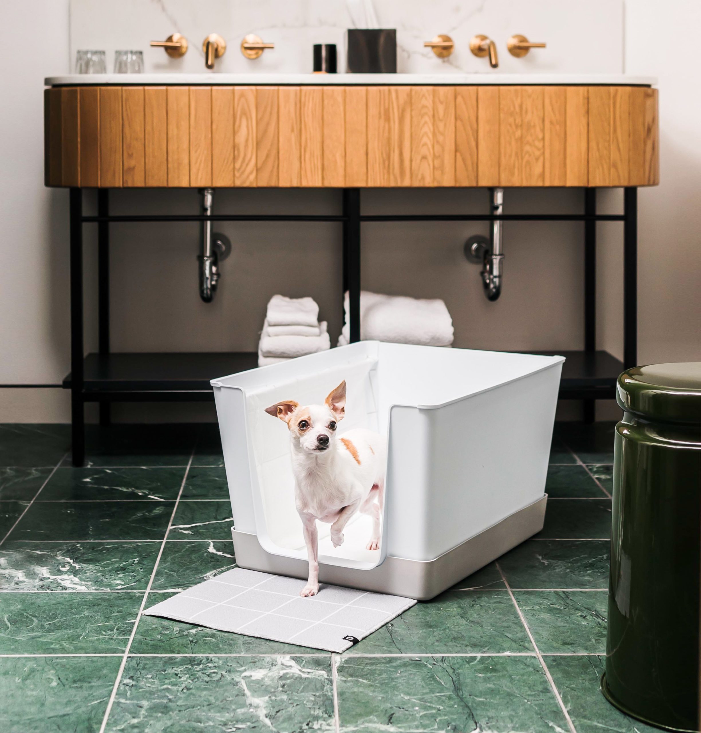 https://aubtu.biz Doggy Bathroom