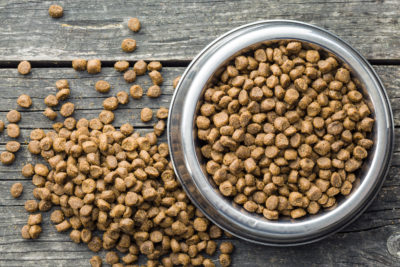 Prevent Toxic Biofilm in Your Dog's Food and Water Bowls