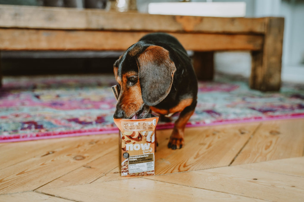 Trends and Products: Non-Kibble Food Options