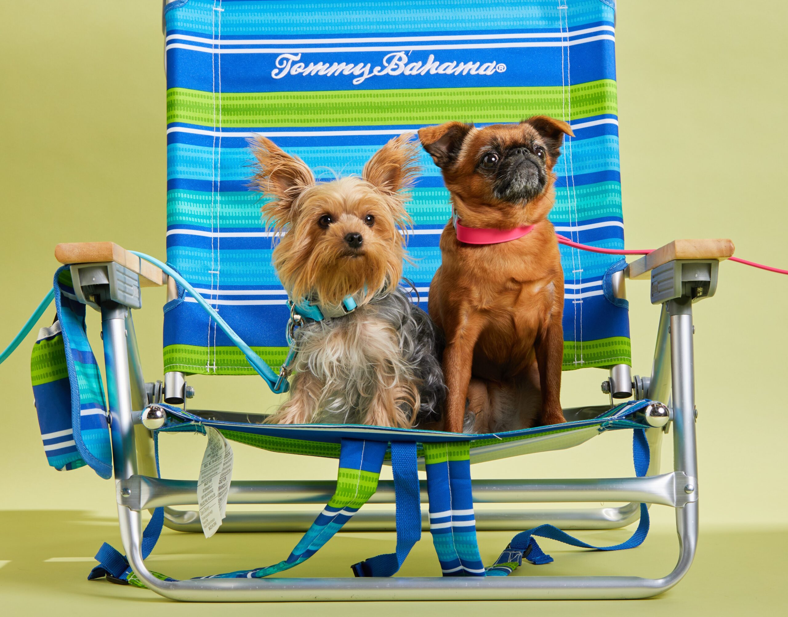 K9 Wear Partners with Tommy Bahama, Introduces Innovative Line of