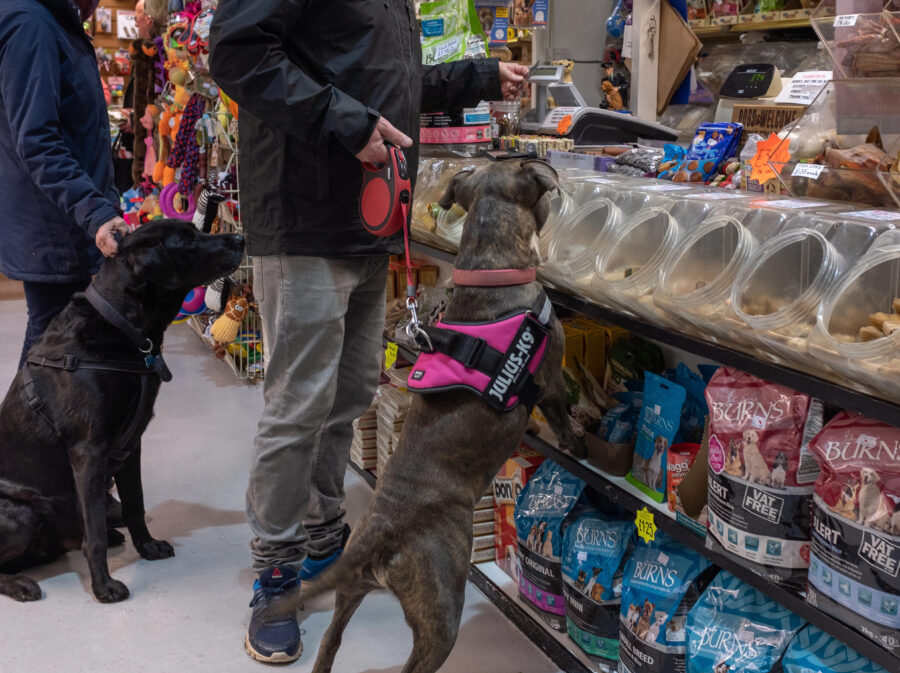From Kibble to Community, The Evolution of the Pet Specialty Industry