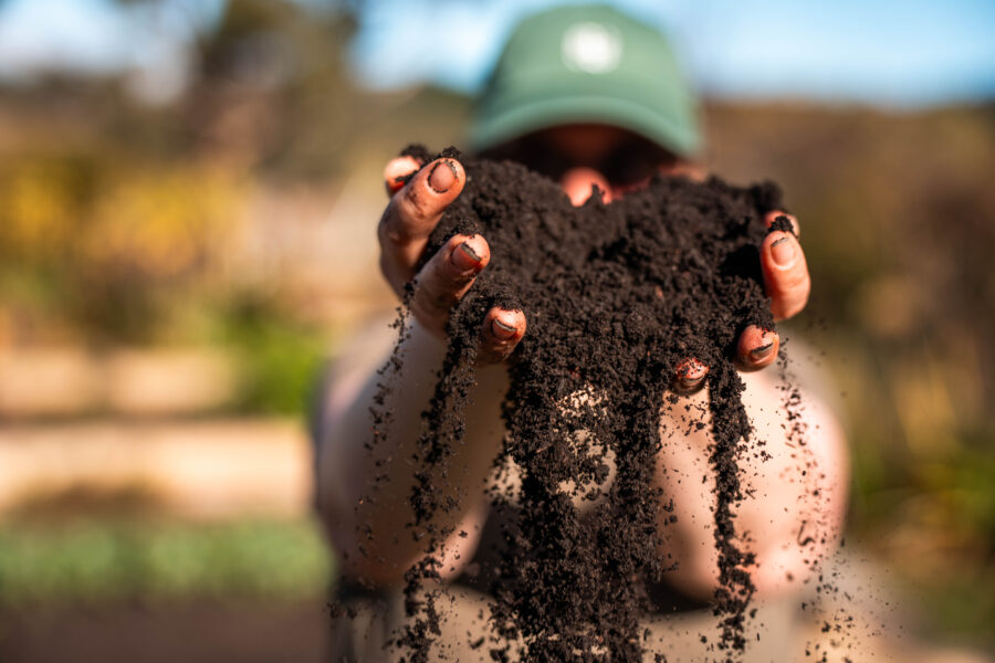ADM, Hill’s Pet Nutrition Partner to Support Farm Resilience through Regenerative Agriculture