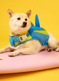 Petco Unveils Summer Collection to Keep Pets and Humans Cool