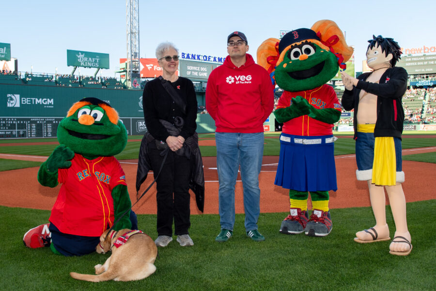 VEG ER for Pets Named Official Animal Hospital of the Boston Red Sox